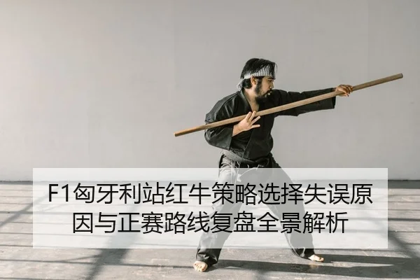 F1匈牙利站红牛策略选择失误原因与正赛路线复盘全景解析